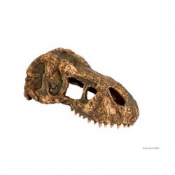Crâne de tyrannosaure Exo Terra, petit EXO TERRA Decorations