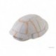 Carapace de tortue Exo Terra, petit EXO TERRA Decorations