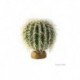 Cactus oursin Exo Terra, petit-V EXO TERRA Decorations