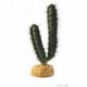 Cactus en doigts Exo Terra-V EXO TERRA Decorations