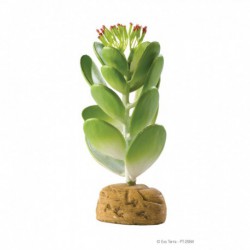 Cactus jade Exo Terra-V EXO TERRA Decorations