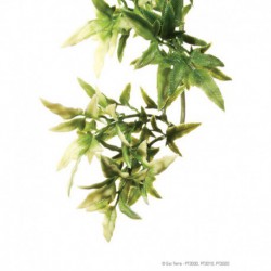 Promo - Avril - Exo Terra Plante Croton Moy.-V EXO TERRA Decorations