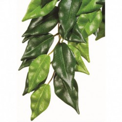 Exo Terra Plante En Soie Ficus Pet.-V EXO TERRA Decorations