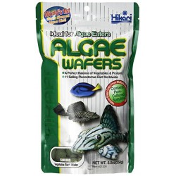 ALGAEWAFERS™ 8.80 OZ. HIKARI Nourritures