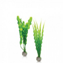 Plant Pack Medium BIORB Plantes Artificielles