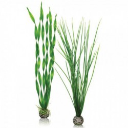 Plant Pack Large BIORB Plantes Artificielles