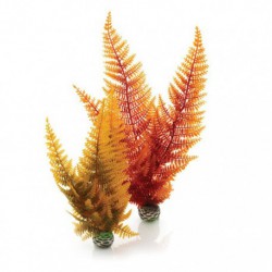 Autumn Fern Plant Pack BIORB Plantes Artificielles
