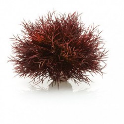 Crimson Sea Lily BIORB Plantes Artificielles