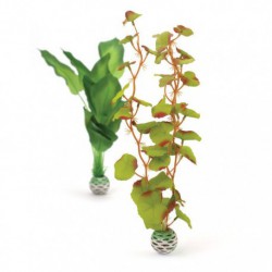 Medium Green / Green Silk Plant Pack BIORB Plantes Artificielles