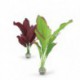 Medium Purple / Green Silk Plant Pack BIORB Plantes Artificielles