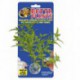 Betta Plant - Maple Leaf ZOOMED Artificial Plants