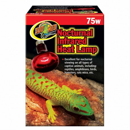 Red Infrared Heat Lamp75W ZOOMED Lighting solutions