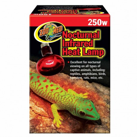 Red Infrared Heat Lamp250W ZOOMED Solutions d'éclairage