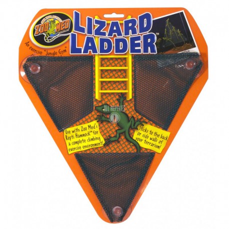 Lizard Ladder (one size fits all) ZOOMED Decorations
