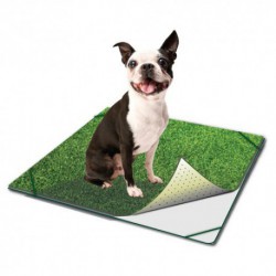 TURF DOG PAD+GAZON 16 x 24 TURF Maintenance Products