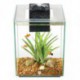 Aquarium equipe Chi II FL 19L (5galUS) FLUVAL Aquariums équipés