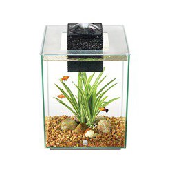 Aquarium equipe Chi II FL 19L (5galUS) FLUVAL Aquariums équipés