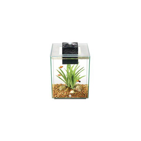 Aquarium equipe Chi II FL 19L (5galUS) FLUVAL Aquariums équipés