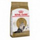 PROMOCLAIMRC - FÃ©vrier - Persian / Persan 15 lb 6,8 kg ROYAL CANIN Nourritures sèche