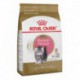 Kitten Persian / Persan Chaton 3 lbs 1,4 kg ROYAL CANIN Nourritures sèche