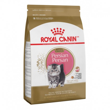 Kitten Persian / Persan Chaton 3 lbs 1,4 kg ROYAL CANIN Nourritures sèche