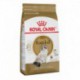 PROMOCLAIMRC - DÃ©cembre - Ragdoll 7 lbs 3  2 kg ROYAL CANIN Nourritures sèche