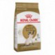Siamese / Siamois 6 lbs 2 7 kg ROYAL CANIN Nourritures sèche