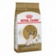Siamese / Siamois 6 lbs 2,7 kg ROYAL CANIN Dry Food