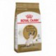 PROMOCLAIMRC - DÃ©cembre - Siamese / Siamois 14 lb 6  36 k ROYAL CANIN Nourritures sèche