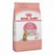Kitten Spayed Neutered / Chaton Sterilise 2 5 lbs 1 1 kg ROYAL CANIN Dry Food