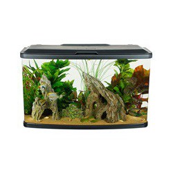 Aquarium équipé Vista Fluval, 87 L FLUVAL Aquariums Équipés