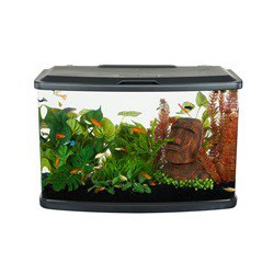 Aquarium équipé Vista Fluval, 60 L FLUVAL Aquariums Équipés