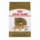 Golden Retriever Adult / Golden Retriever Adulte 17 lb 7 7 ROYAL CANIN Nourritures sèches