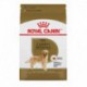 PROMOCLAIMRC - DÃ©cembre - Golden Retriever Adulte 17 lbs ROYAL CANIN Nourritures sèches