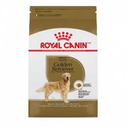Golden Retriever Adult / Golden Retriever Adulte 1 ROYAL CANIN Dry Food
