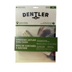 DENTLER BOIS CERVIDES ENTIERS NATURELS MOYEN DENTLER Os fumés