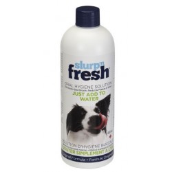 SLURP N FRESH 400ML SLURP'N FRESH Produits Entretien