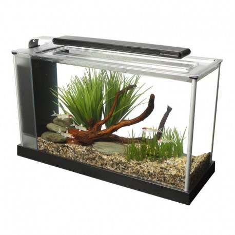 Aq v. FL SPEC V 21,1L (5,6gal US)-V FLUVAL Aquariums Kit