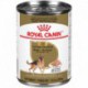 German Shepherd / Berger AllemandLOAF IN SAUCE/PATE EN SAUCE ROYAL CANIN Nourritures en conserve