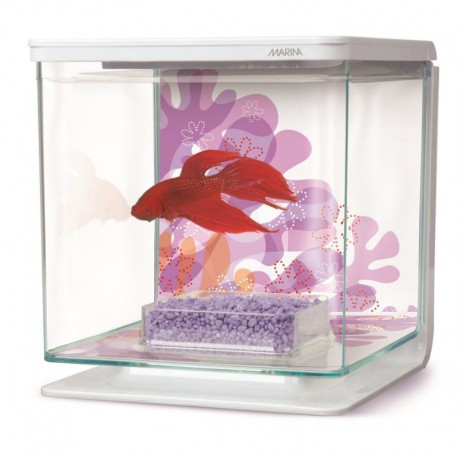 Aquarium équipé MA pour betta, fleurs MARINA Aquariums Équipés