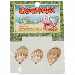 Coquillages Crabworx, petits, 3-V CRABWORX Accessoires Divers
