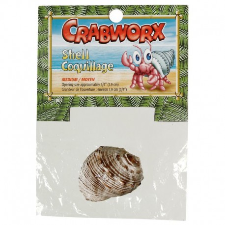 Crabworx Medium Shells-V CRABWORX Miscellaneous Accessories