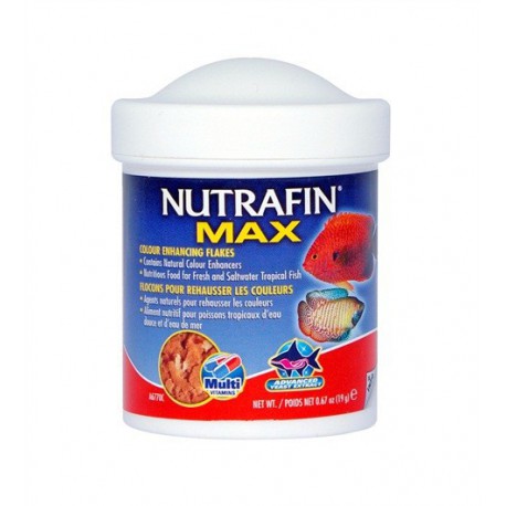 Fl. Nutr.Max pr rehausser coul., 19 g-V NUTRAFIN Food