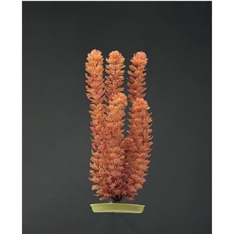 Marina Aq.Sc. Foxtail 37.5Cm-V MARINA Plantes Artificielles