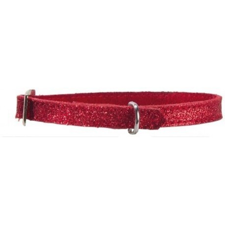 3/8 X14 COLLIER/LETTRES GLITTER , ROUGE HUNTER BRAND Laisses et colliers