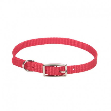 COLLIER NYLON WEB 3/8 x 12 RED COASTAL Laisses et colliers