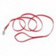 LAISSE NYLON WEB 3/8x72 RED COASTAL Leashes And Collars