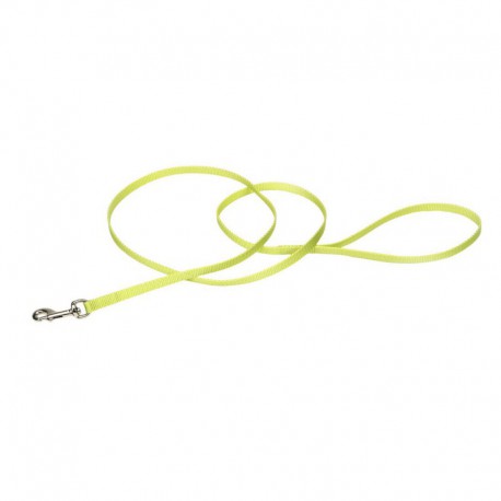 LAISSE NYLON WEB 3/8x48 LIM COASTAL Leashes And Collars