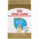 PROMOCLAIMRC - DÃ©cembre - Labrador Retriever Puppy / Labra ROYAL CANIN Nourritures sèches