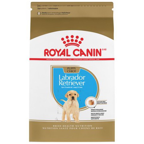 Labrador Retriever Puppy / Labrador Retriever Chiot 30 lb 13 ROYAL CANIN Dry Food